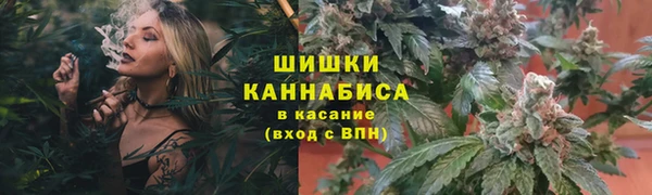 apvp Елабуга