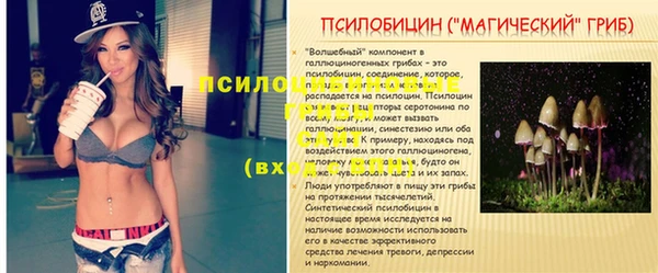 apvp Елабуга