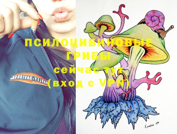 амфетамин Ельня