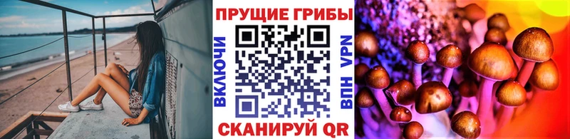 Галлюциногенные грибы мухоморы  Купить где  Киренск 